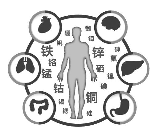 全自动微量元素分析仪研究钴的价值?山东国康