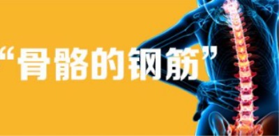 微量元素分析仪厂家浅析骨骼和微量元素钙的关系-山东国康 微量元素分析仪厂家浅析骨骼和微量元素钙的关系-山东国康