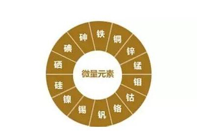 微量元素分析仪为什么夏天跑步没有几步就气喘吁吁是什么原因? 微量元素分析仪为什么夏天跑步没有几步就气喘吁吁是什么原因?